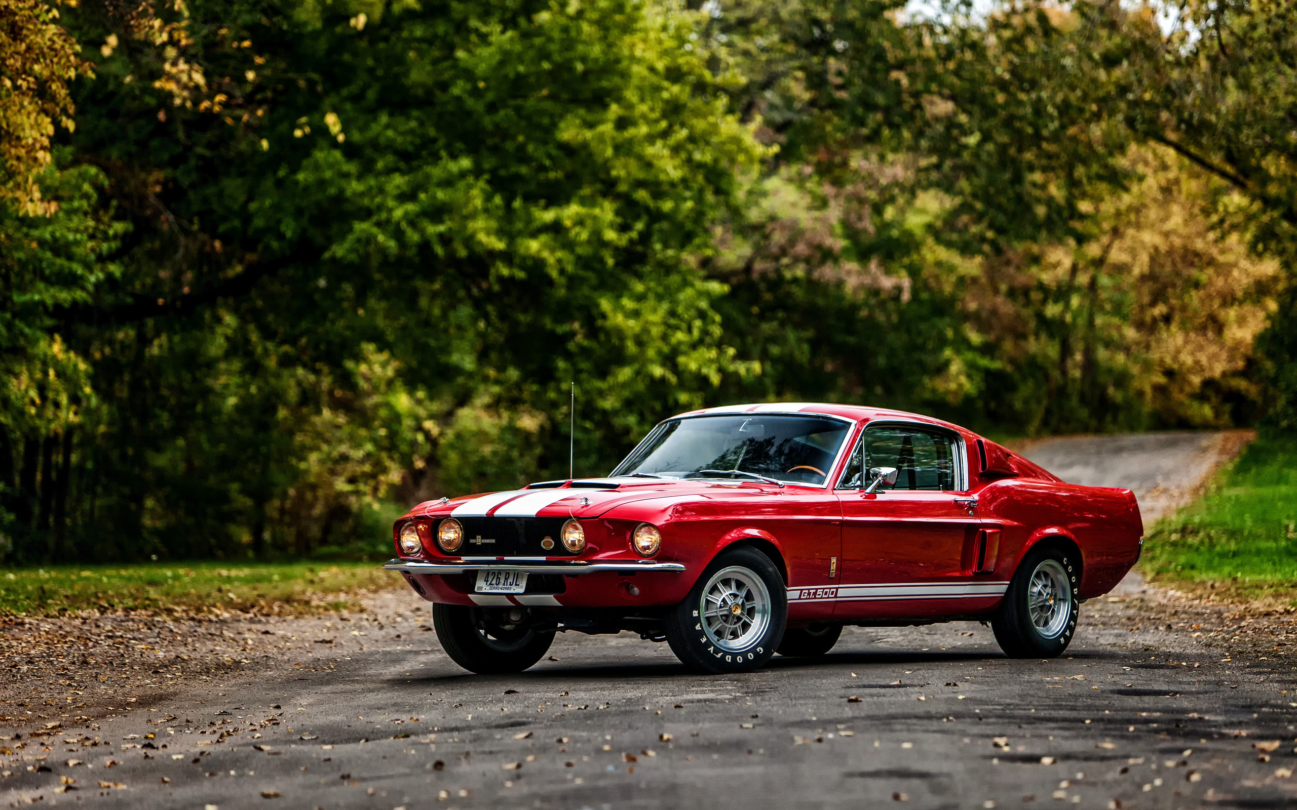 , , ford, 1967, , gt500, , , , 