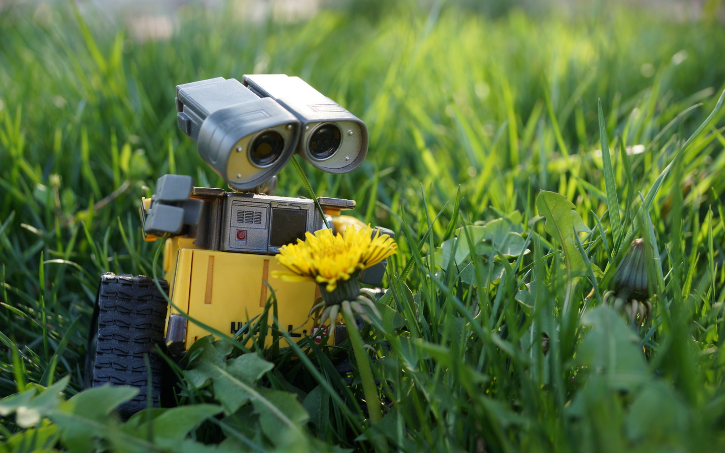 wall-e, , , , , , , ,  , toy, spring, beautiful
