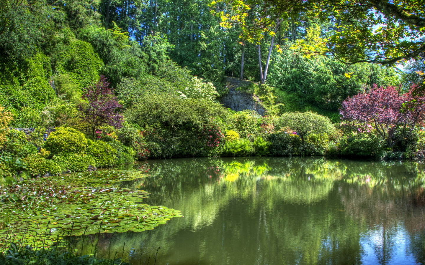 butchart gardens, victoria, , , , , , , 