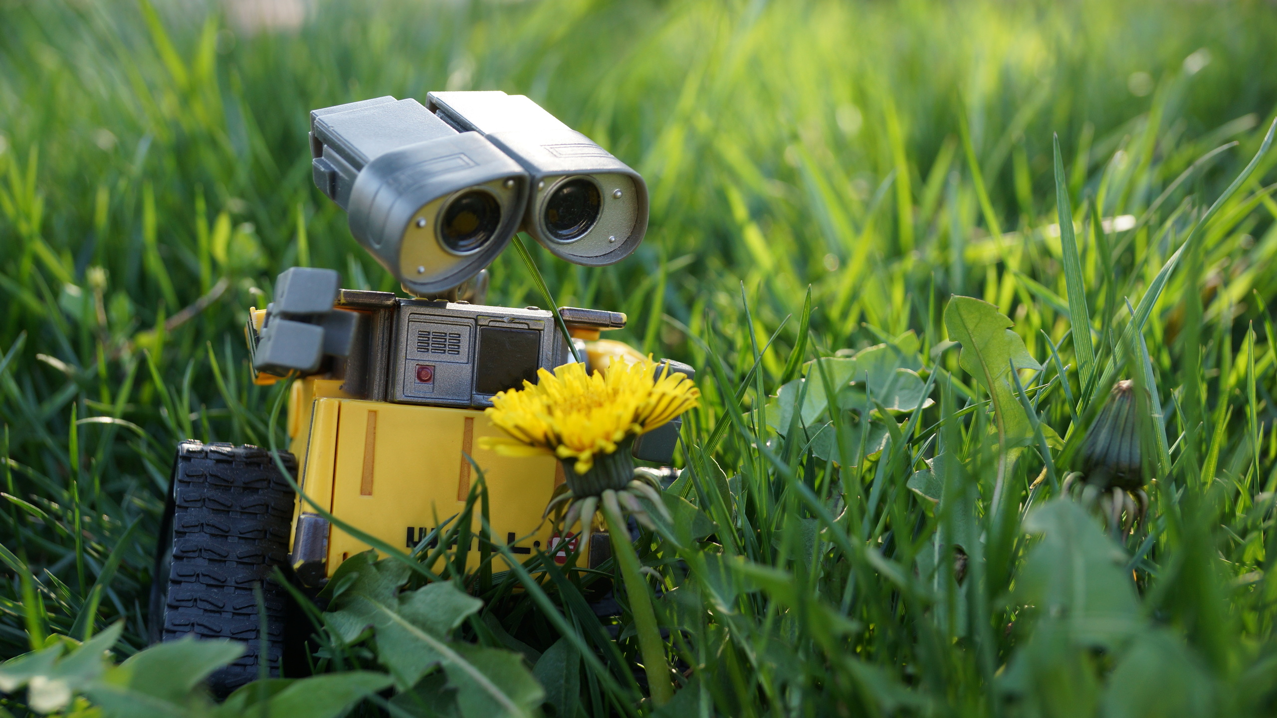 wall-e, , , , , , , ,  , toy, spring, beautiful