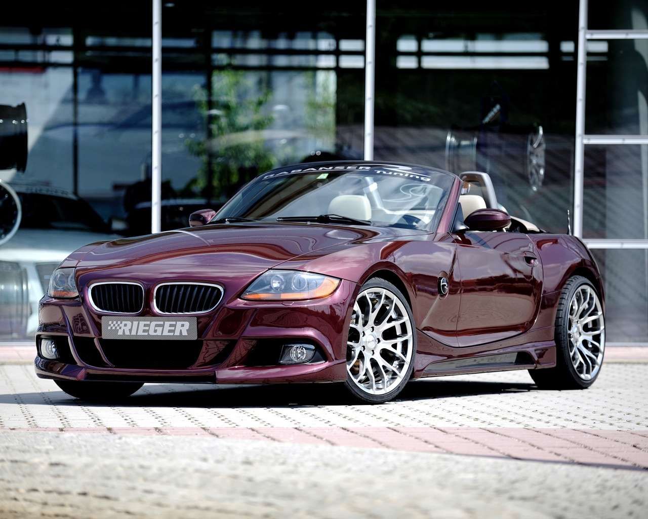 2010, rieger, bmw, z4, e85, 