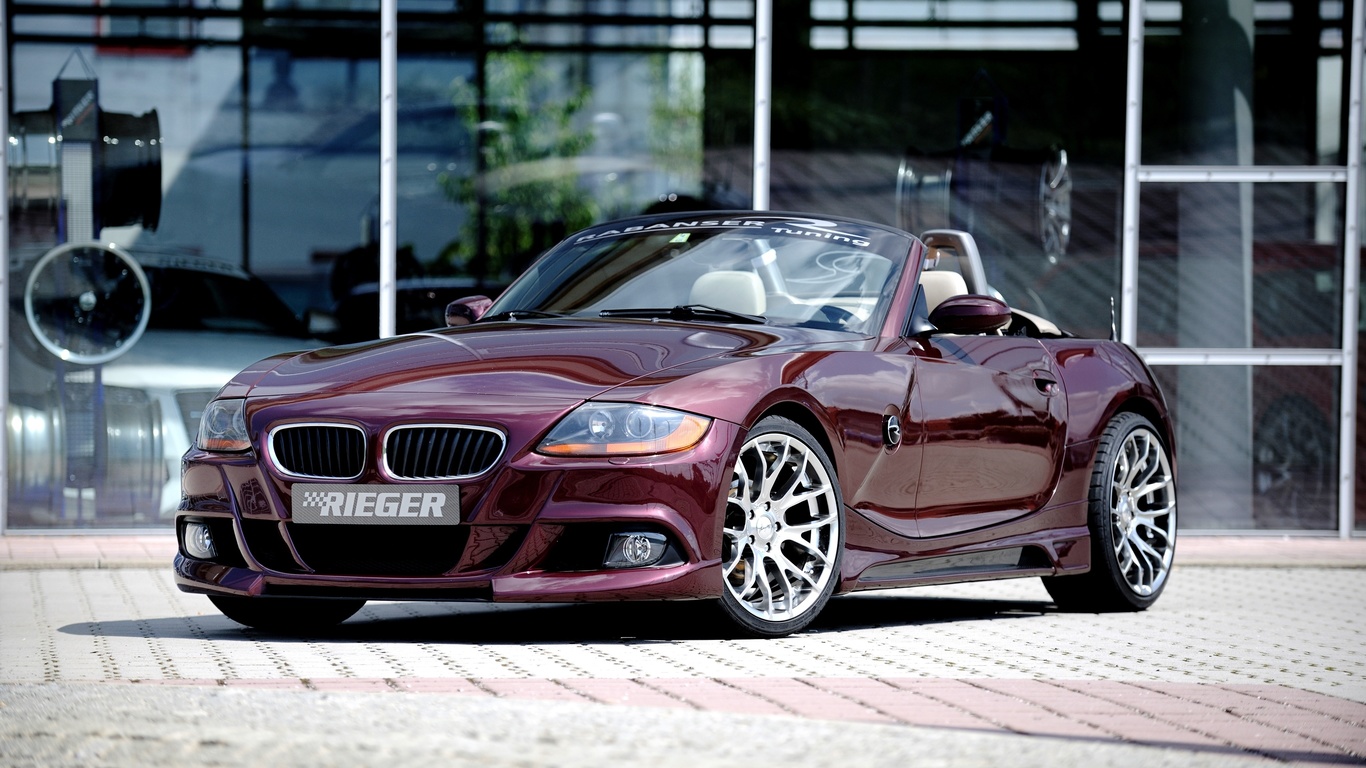 2010, rieger, bmw, z4, e85, 