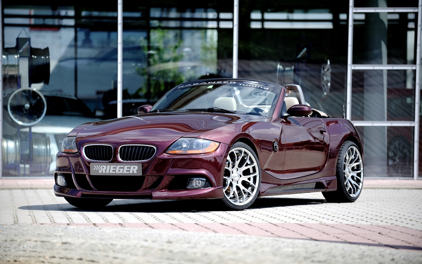 2010, rieger, bmw, z4, e85, 