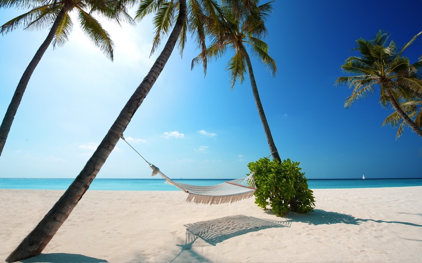 maldives, hammock, palm, ocean, water