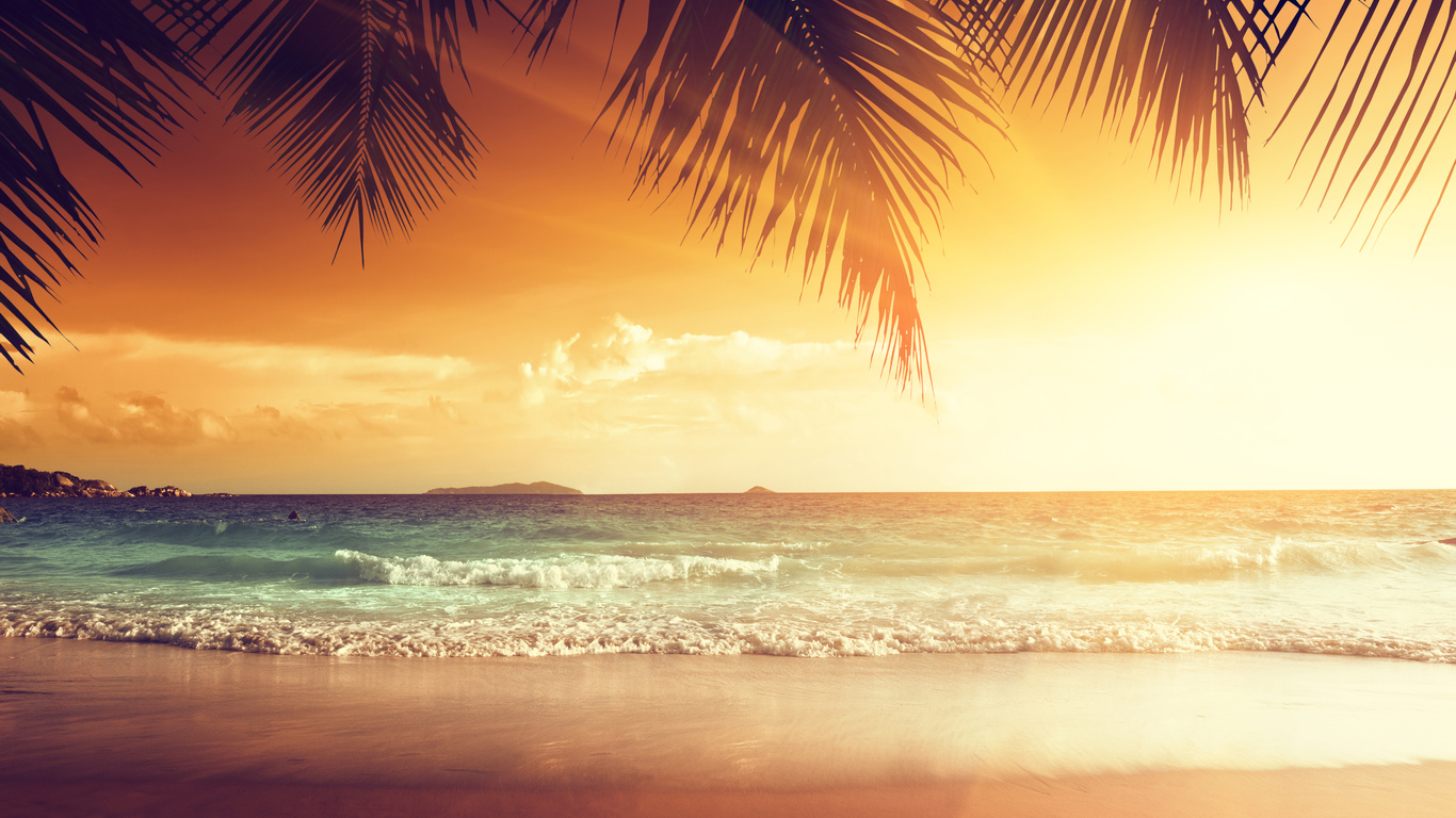 shore, sand, sea, palms, beach, tropics