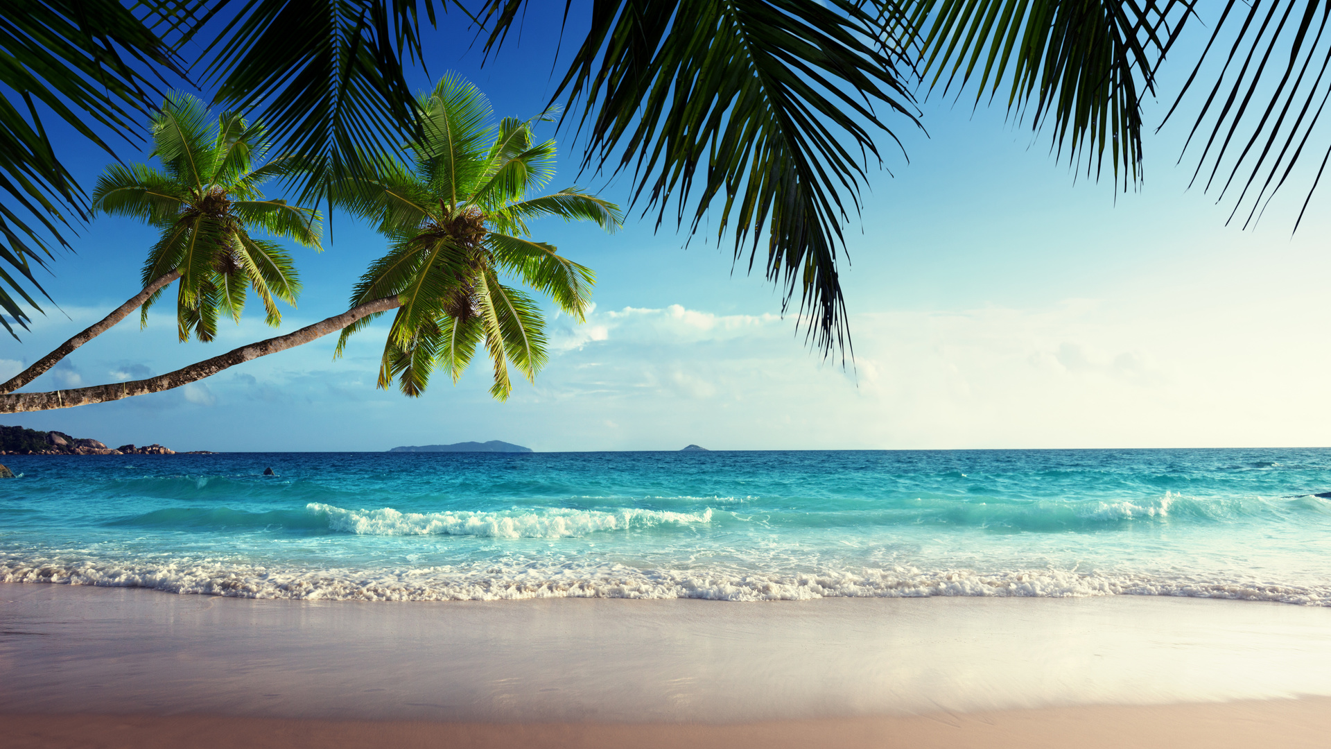 tropical, paradise, sunshine, beach, coast, sea, sky, blue, emerald, ocean, palm, summer, sand, vacation, , , , , , , , , 