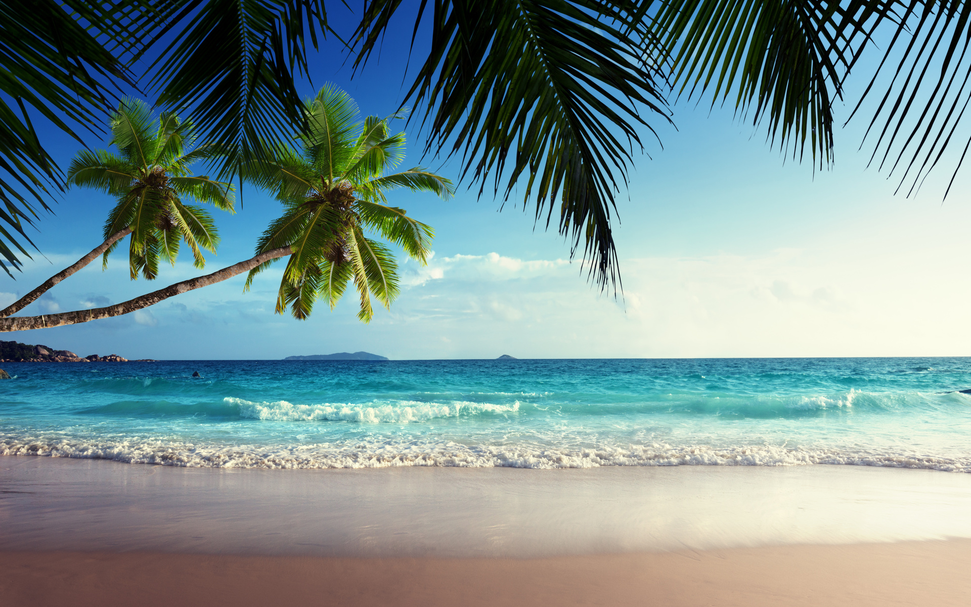 tropical, paradise, sunshine, beach, coast, sea, sky, blue, emerald, ocean, palm, summer, sand, vacation, , , , , , , , , 