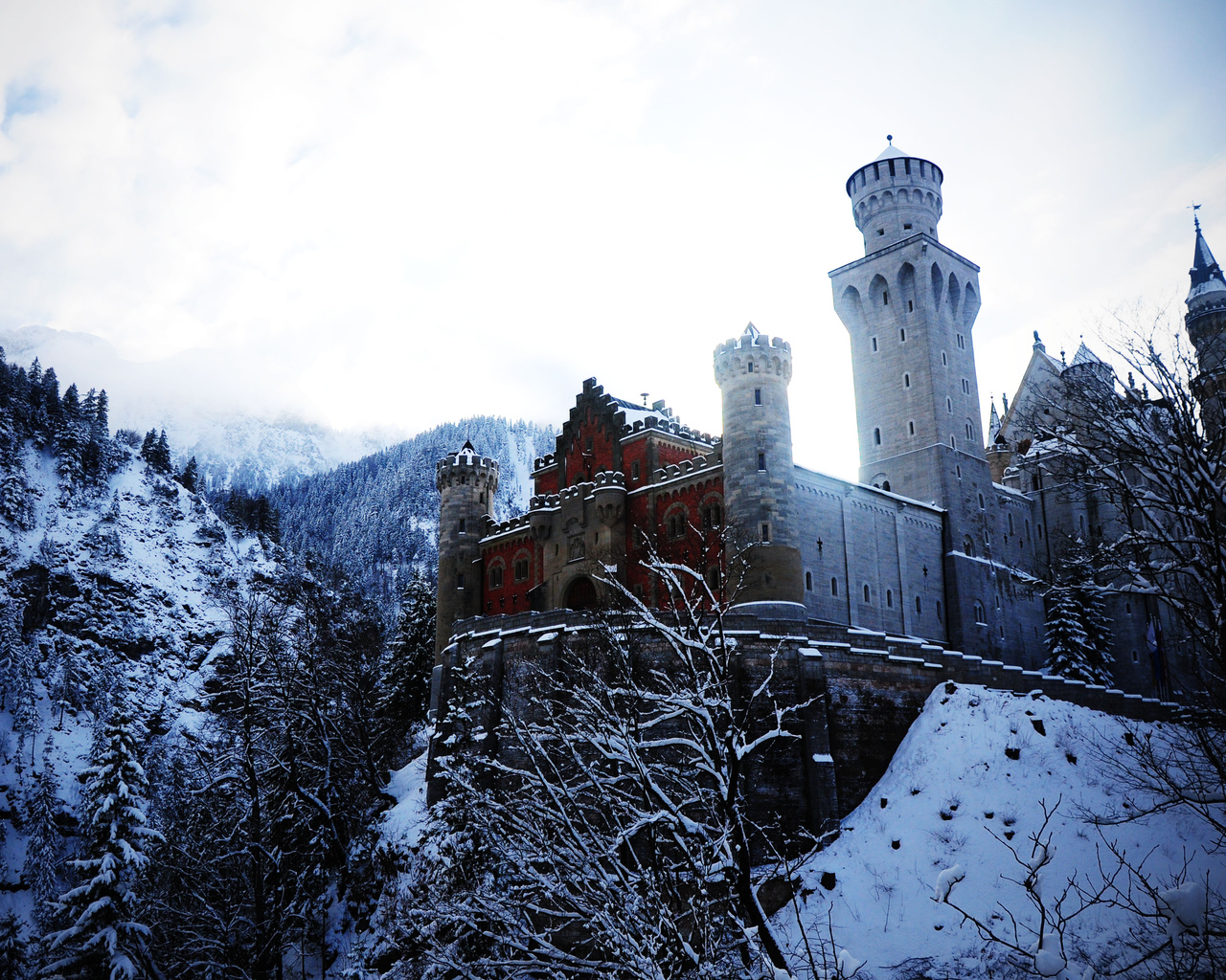 alps, germany, neuschwanstein castle, bovary, winter, , ,  , , 