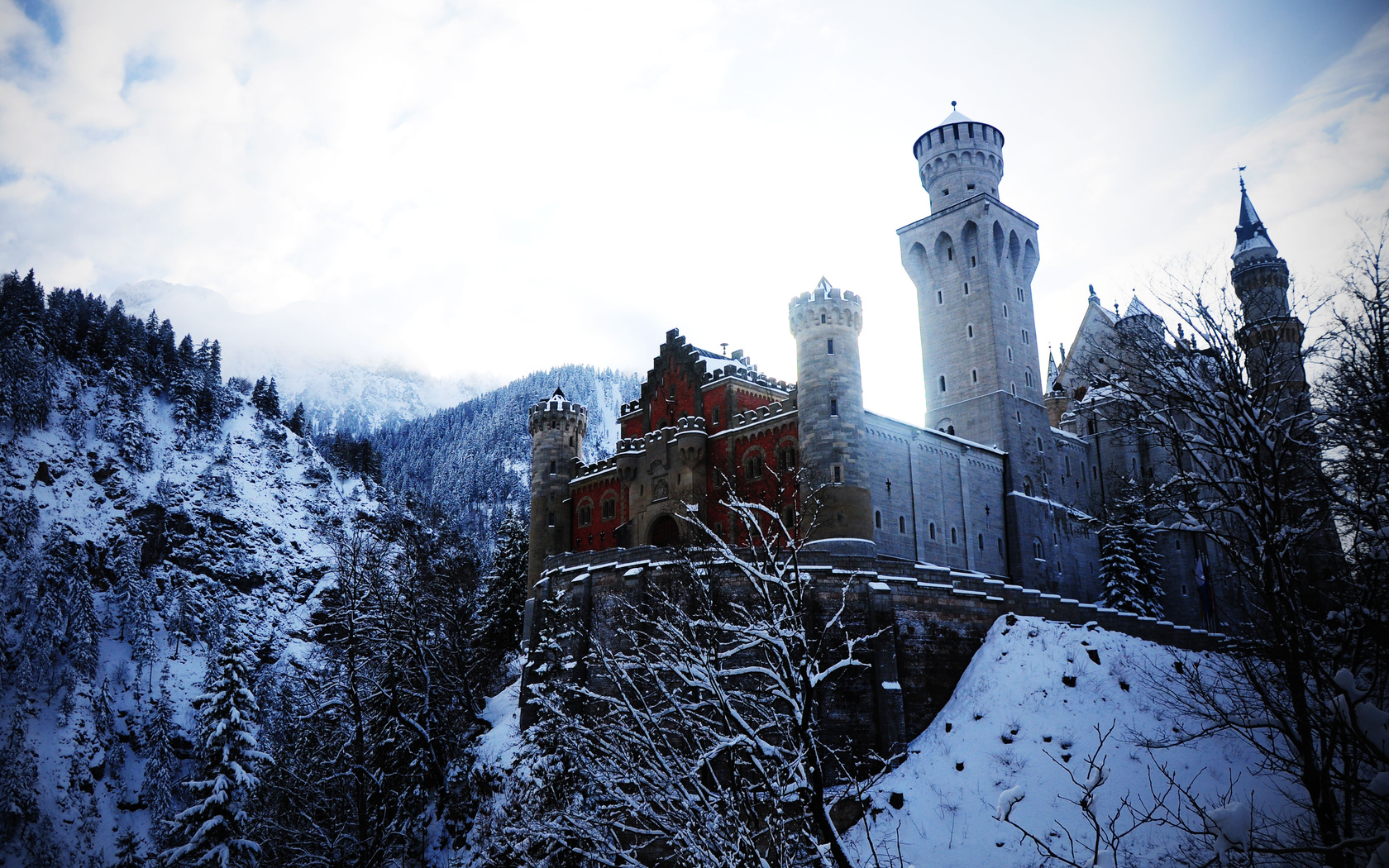 alps, germany, neuschwanstein castle, bovary, winter, , ,  , , 