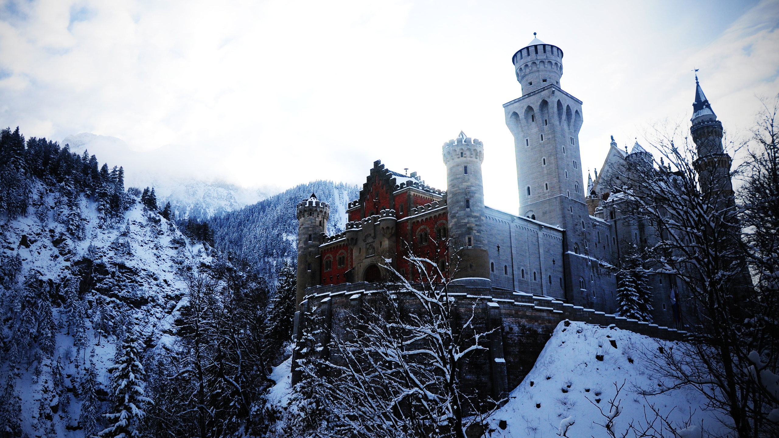 alps, germany, neuschwanstein castle, bovary, winter, , ,  , , 