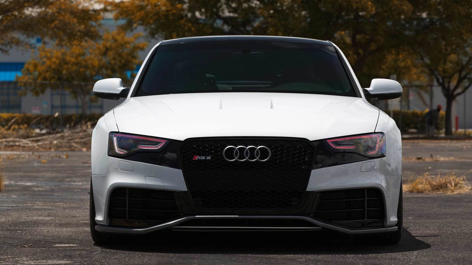 audi, audi rs5, white