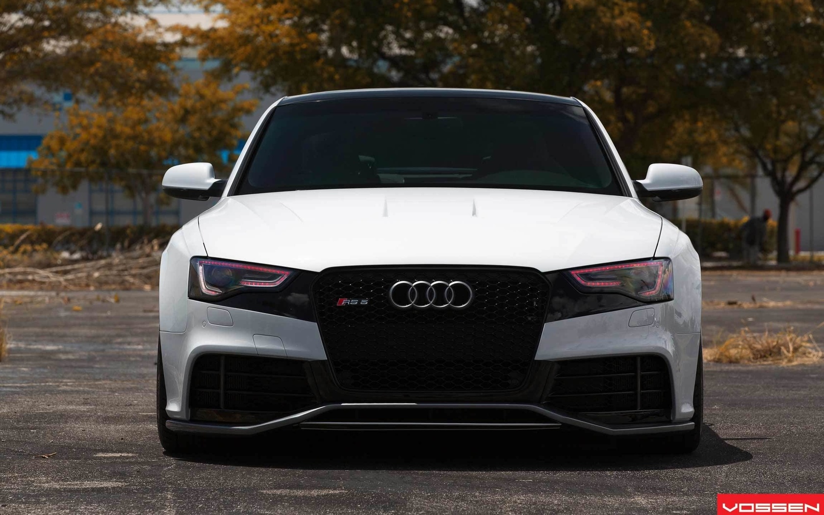 audi, audi rs5, white