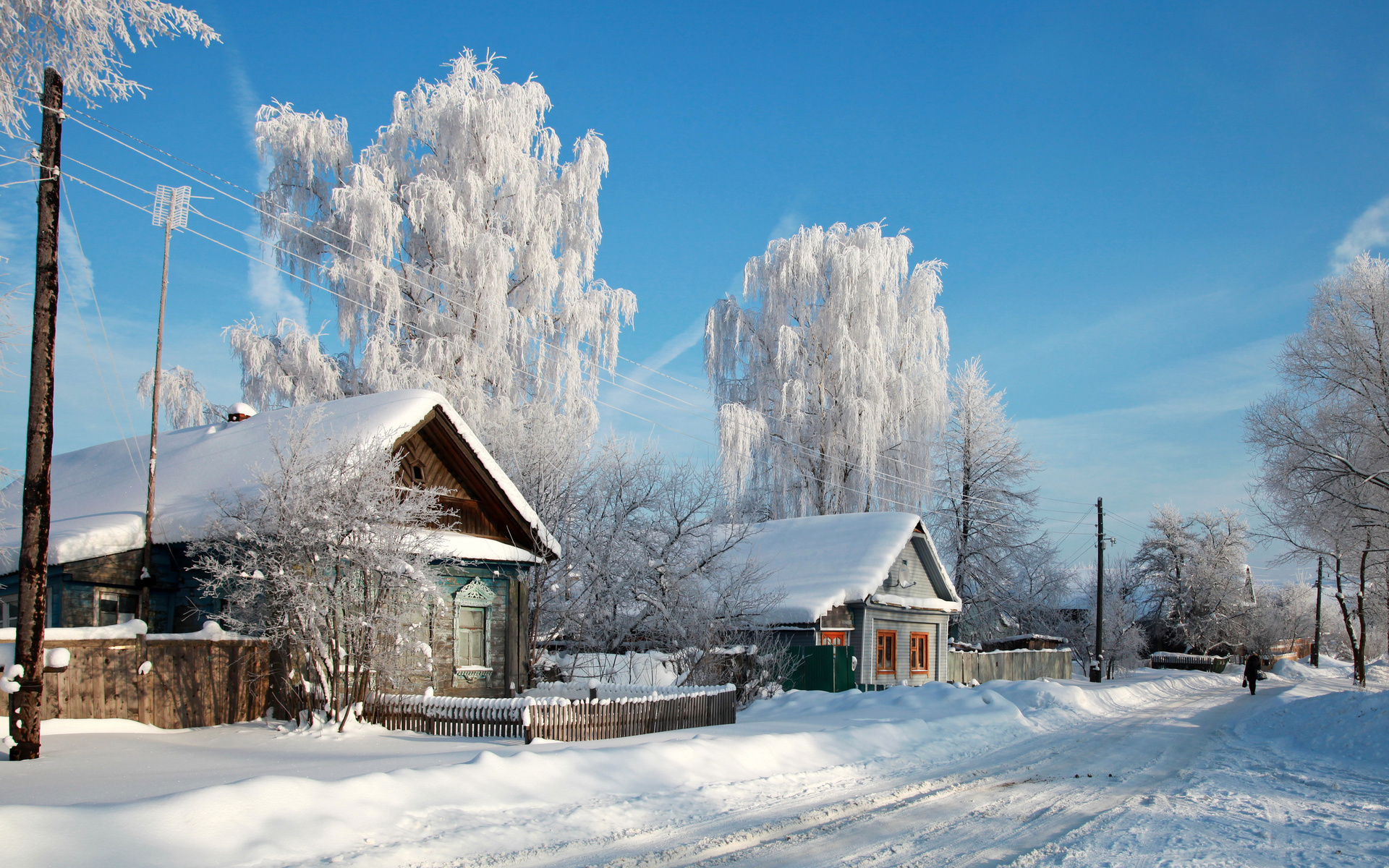 зимний лес деревня