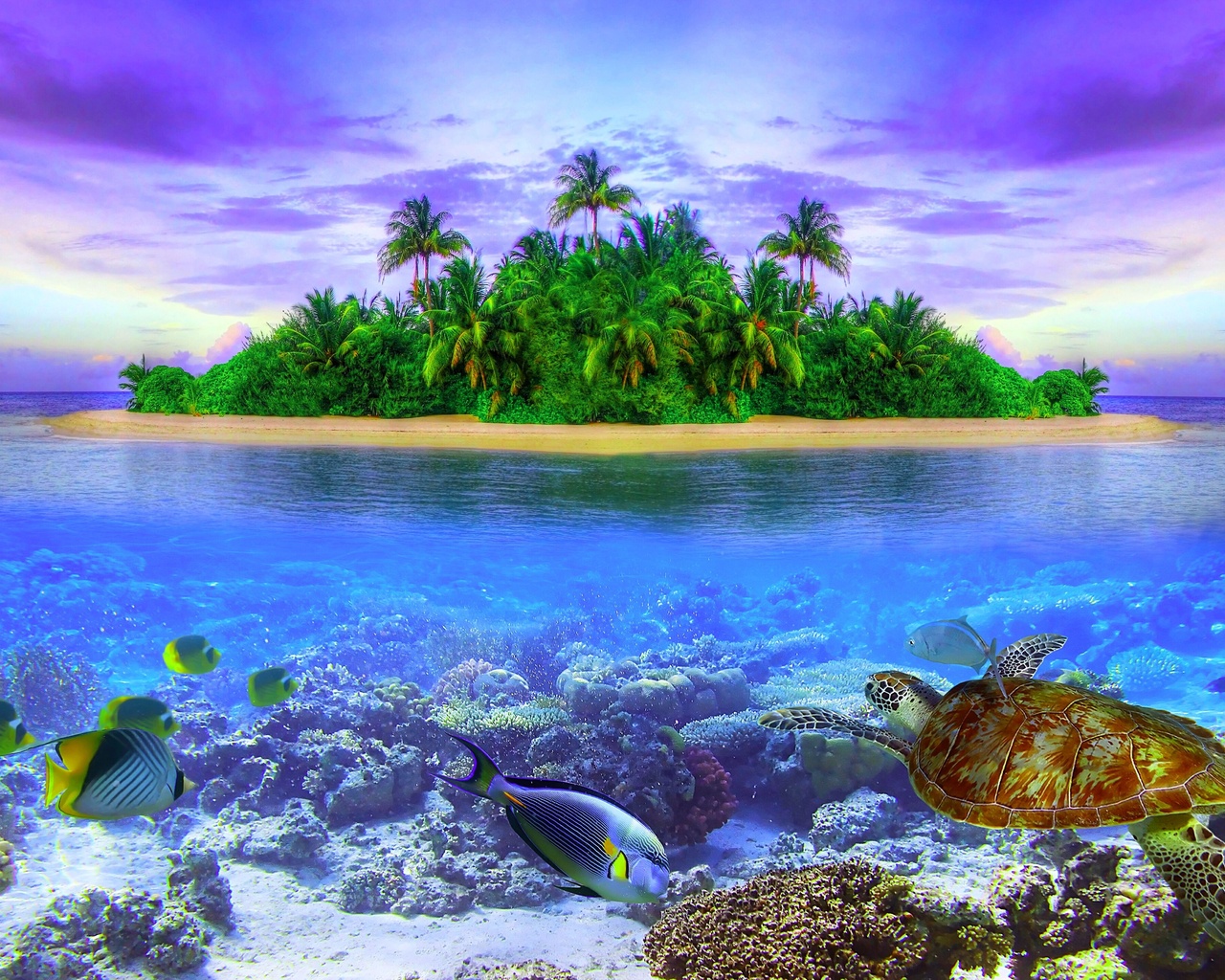 tropical island of maldives, sea, island, fish, landscape