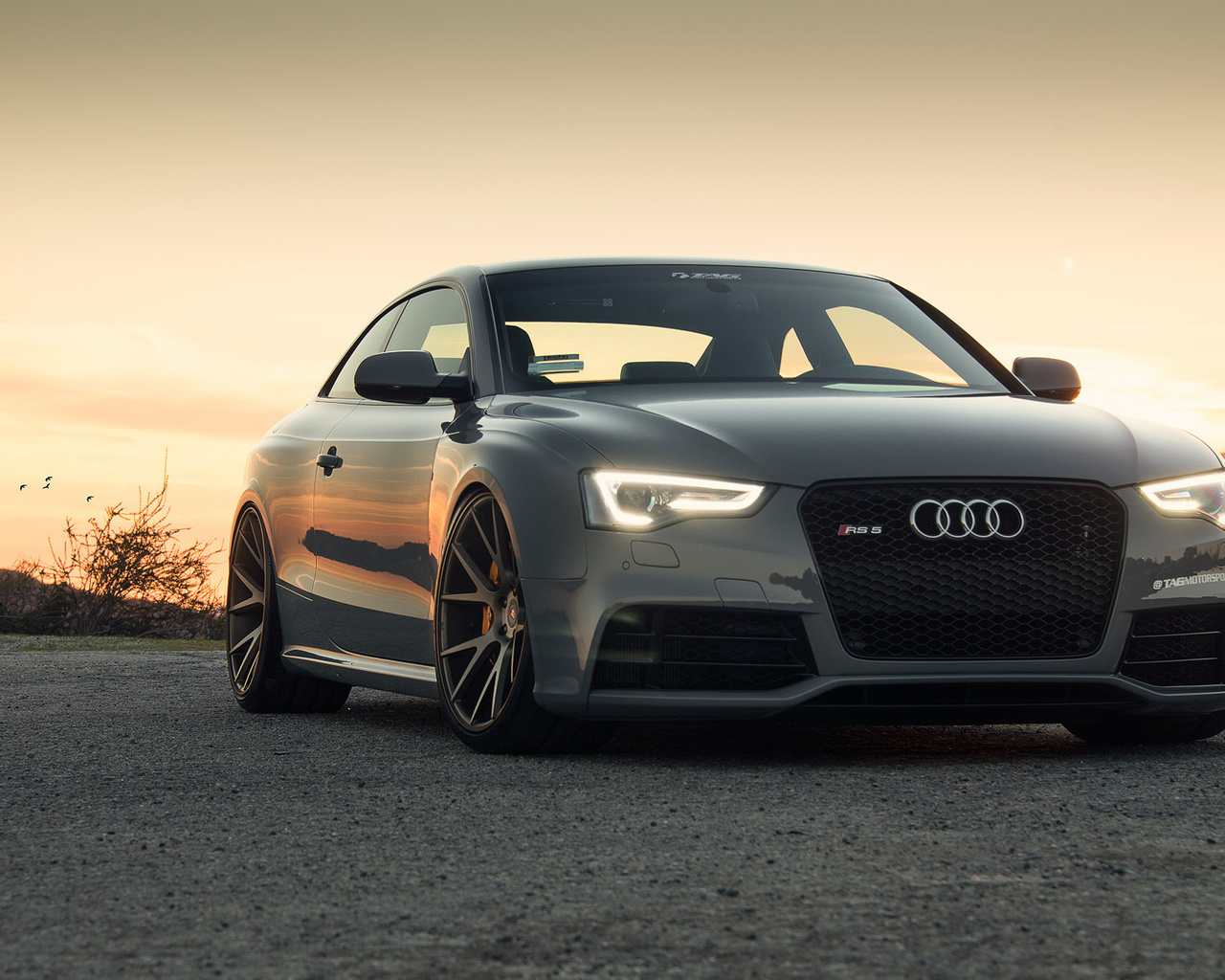 audi rs5, , , , , , 