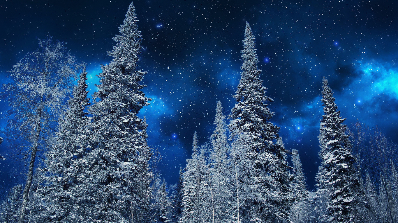 nature, winter, snow, trees, night, sky, stars, , , , , , , , 