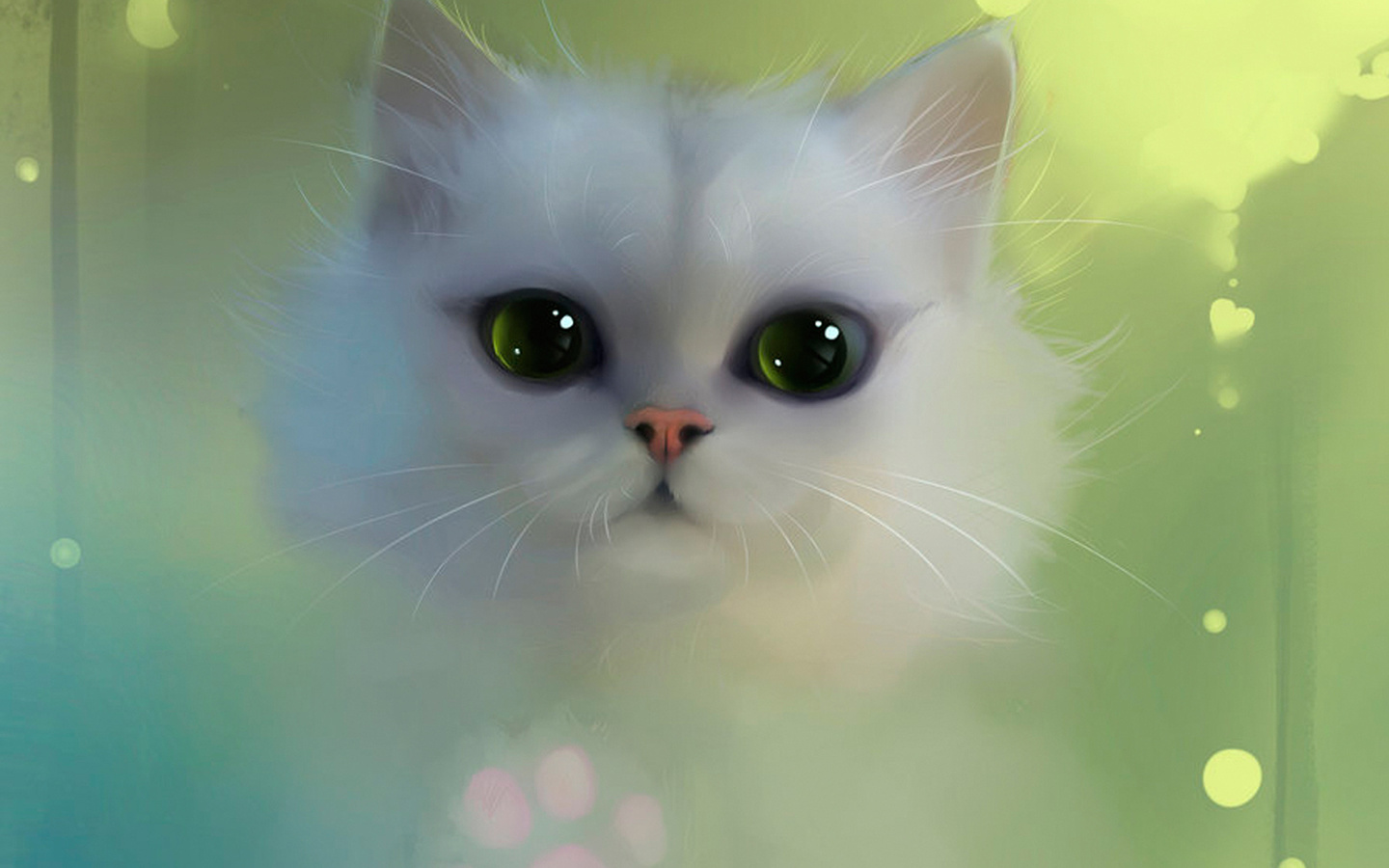 white, cat, eyes
