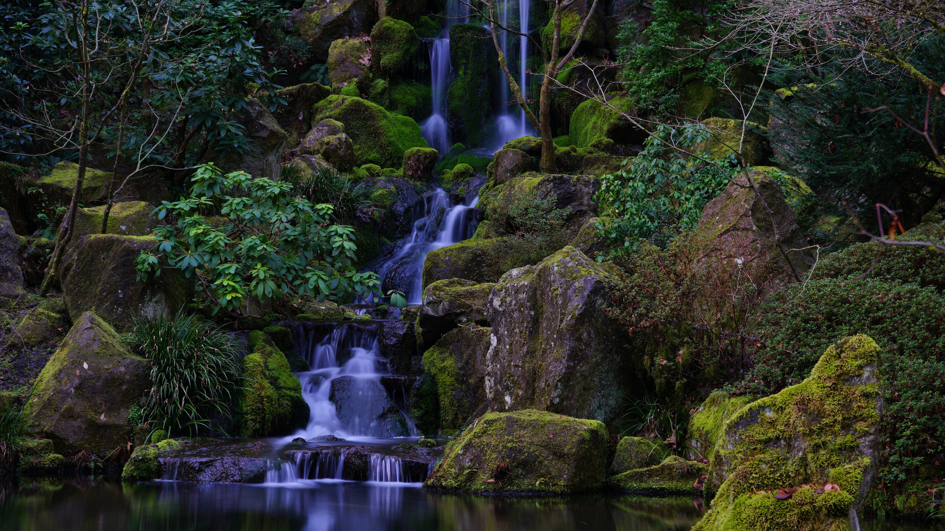 japanese garden, washington park, portland, oregon, waterfall,  ,  , ,  , 