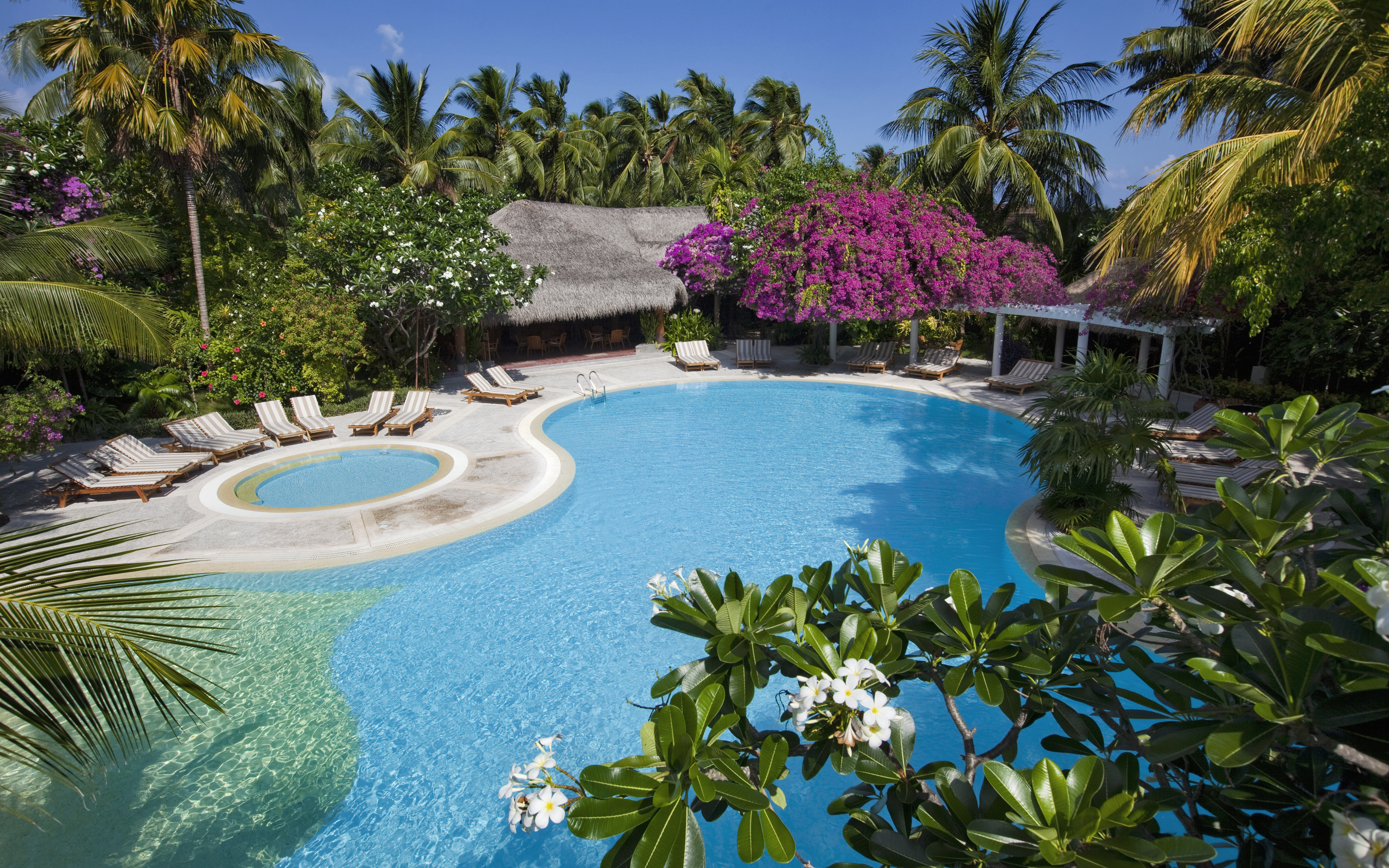 maldives, bungalow, pool, sunbeds, palms, trees