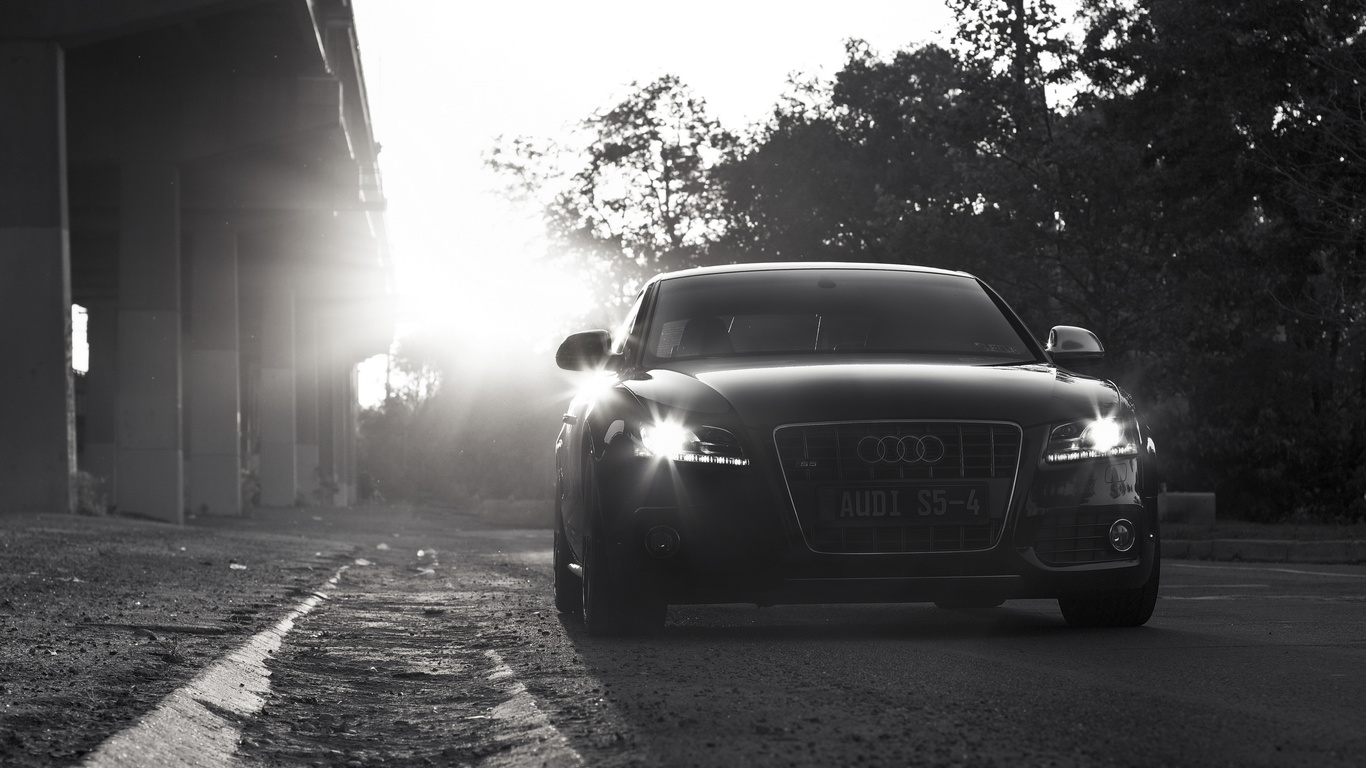 audi s5, , ,   