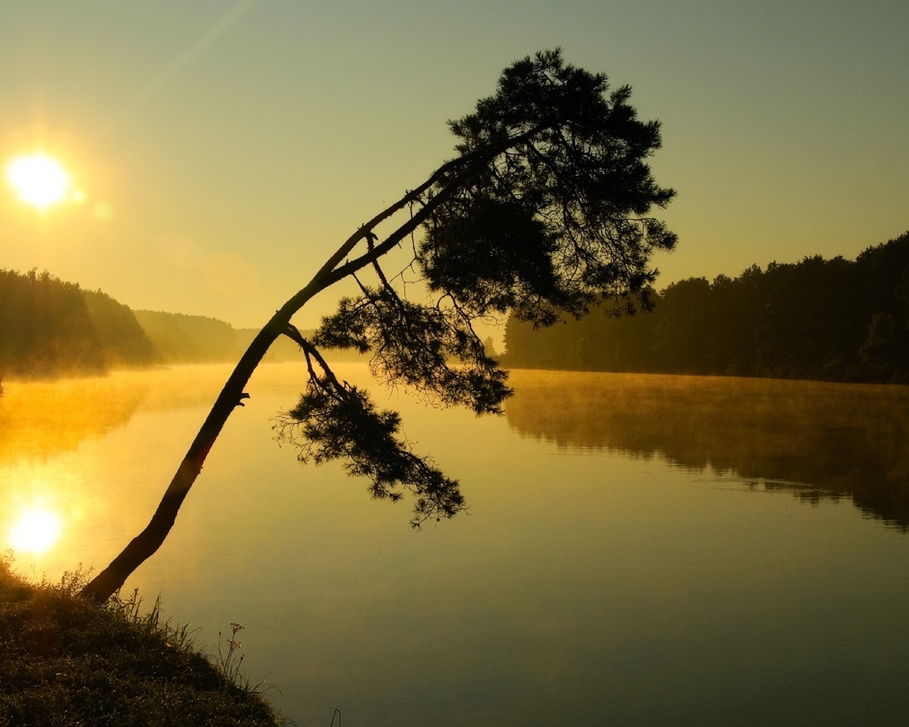 Там за лесом за рекой. Летнее утро на реке. Золотое утро. Солнце небо лес река. Утро на реке фото.