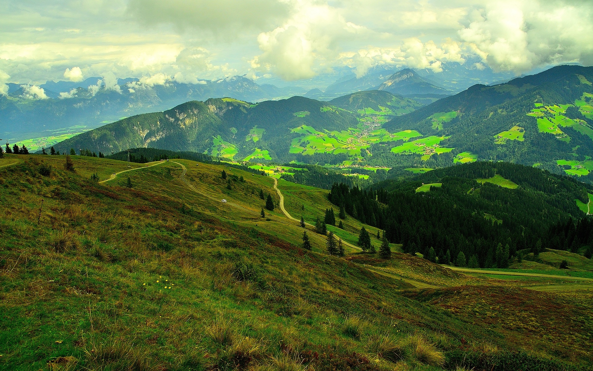 austria, field, hills, road, trees