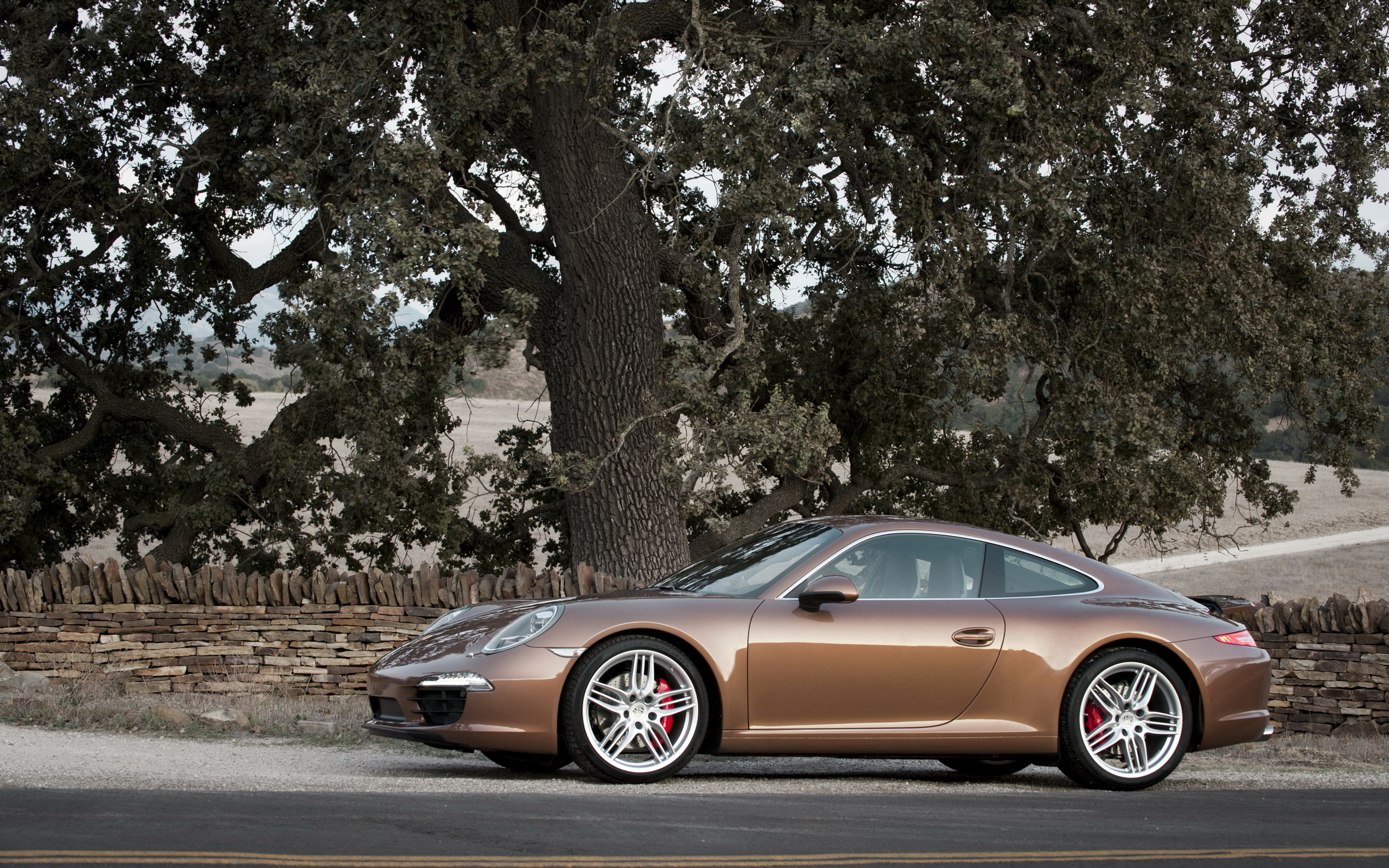 porsche, 911, carrera s, , , , , 