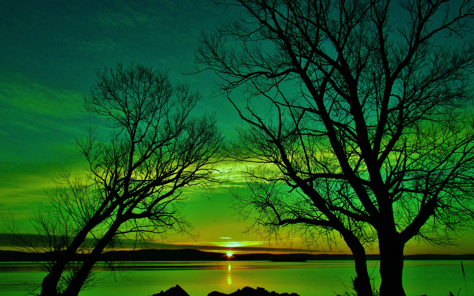 sunrise, lake, tree, sky, nature