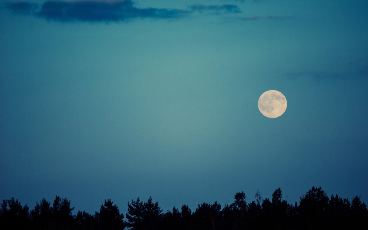 moon, night, sky, trees, , , , 