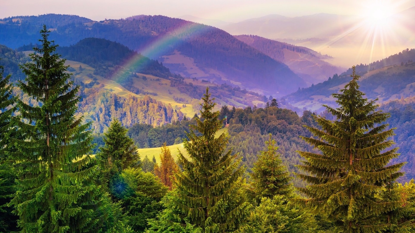 rainbow, forest, mountain, nature, clouds, sky