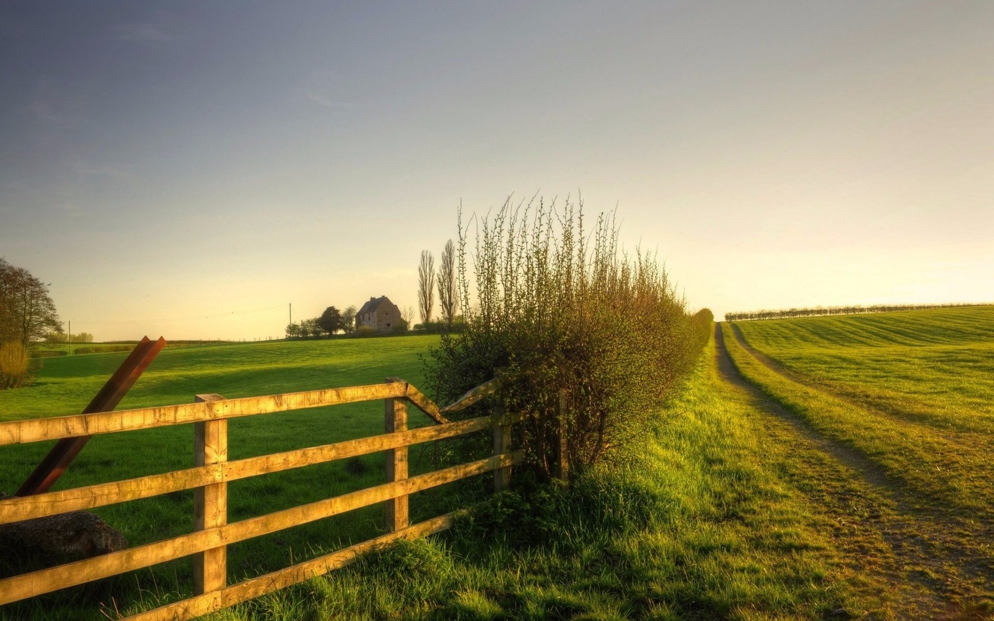 fence, sunrise, grass, tree