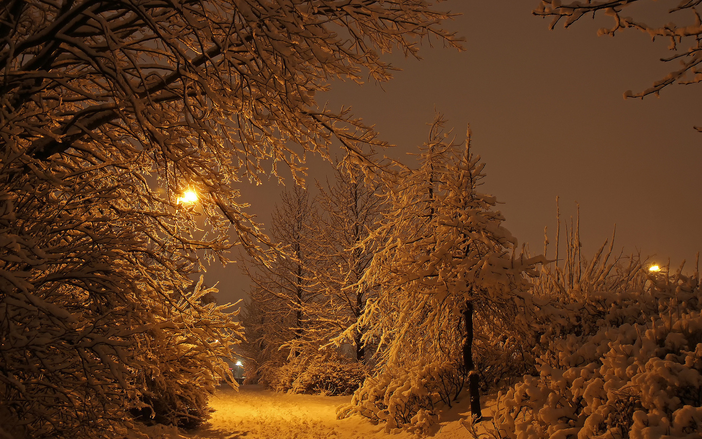 winter, snow, trees, lighthouse, night