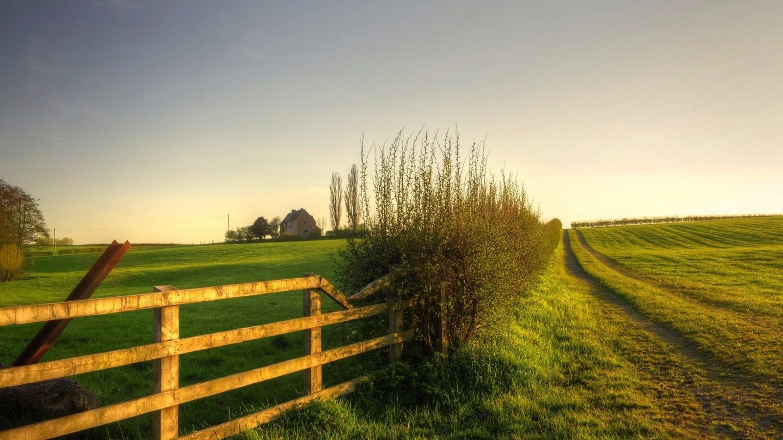 fence, sunrise, grass, tree