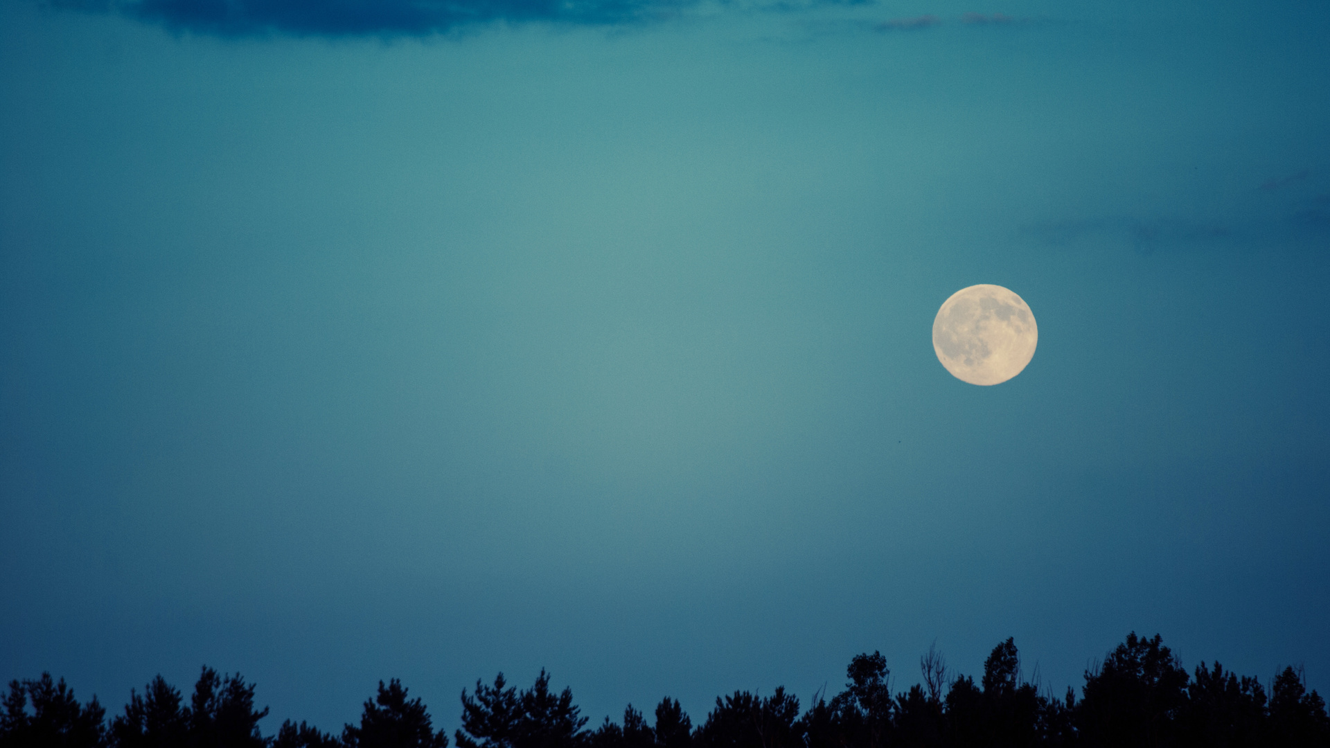 moon, night, sky, trees, , , , 