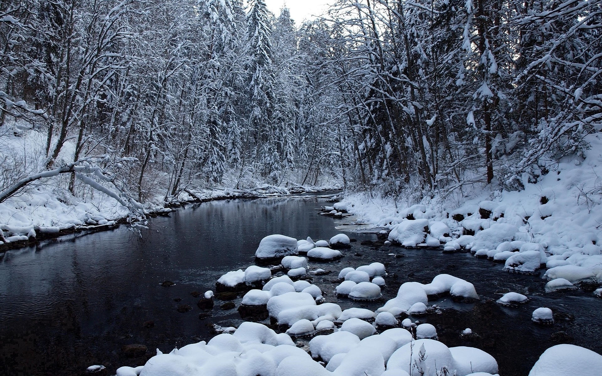 winter, river, snow, ice, tree