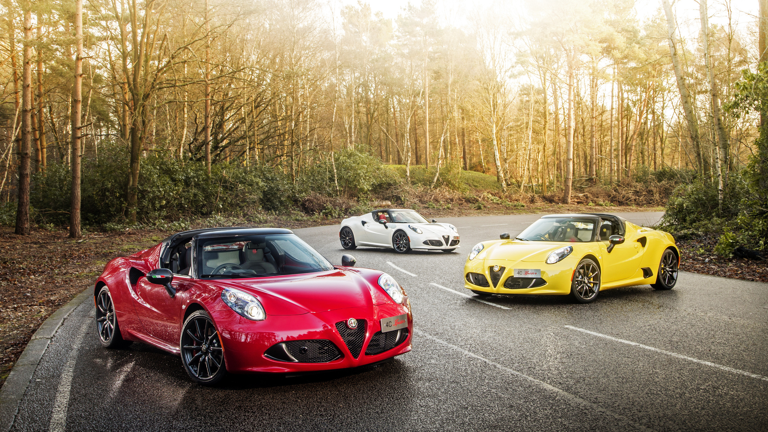 , alfa romeo, , 3, 2016, 4c, spider, anniversario