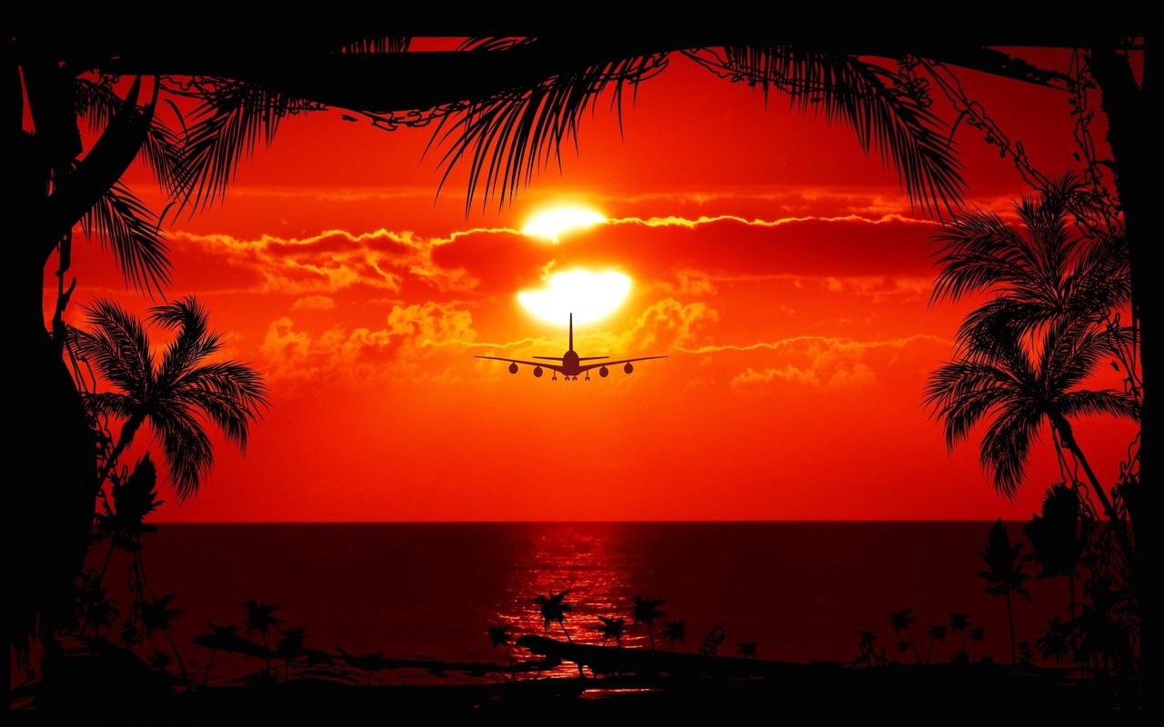 aircraft, sunset, trees, sky, , , , , 