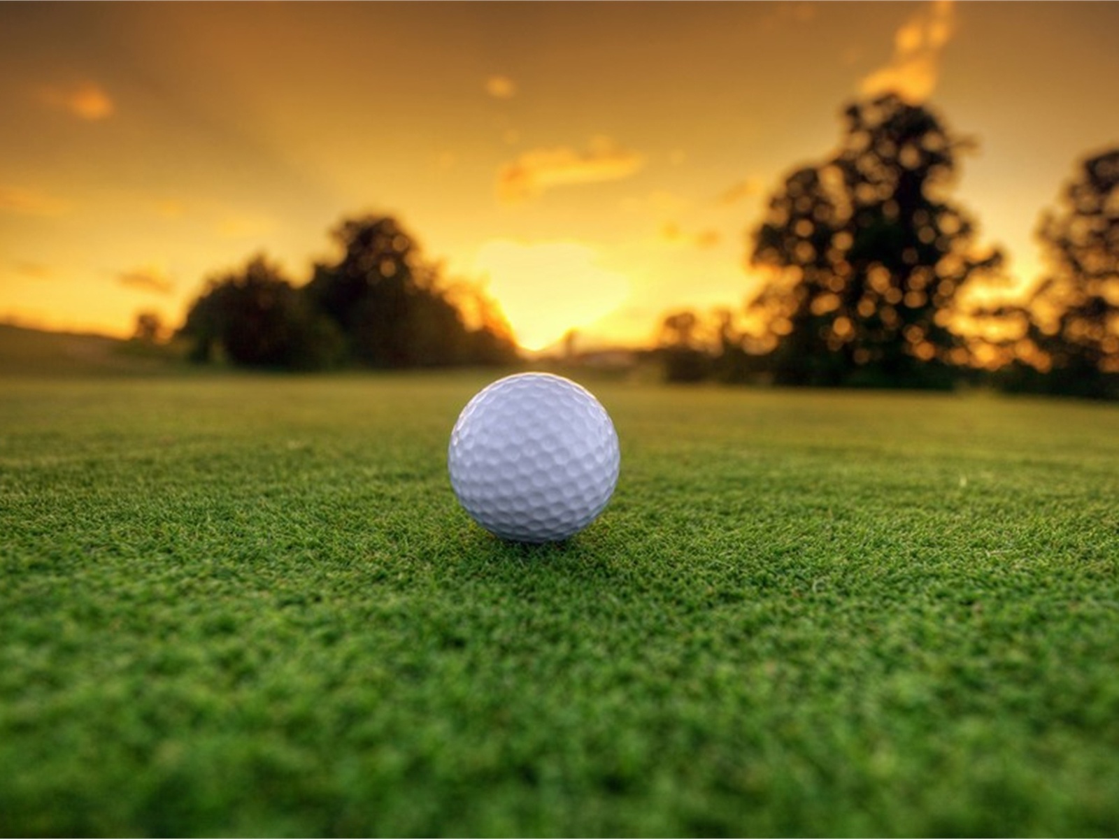 golf, fields, grass, ball, , , , , 