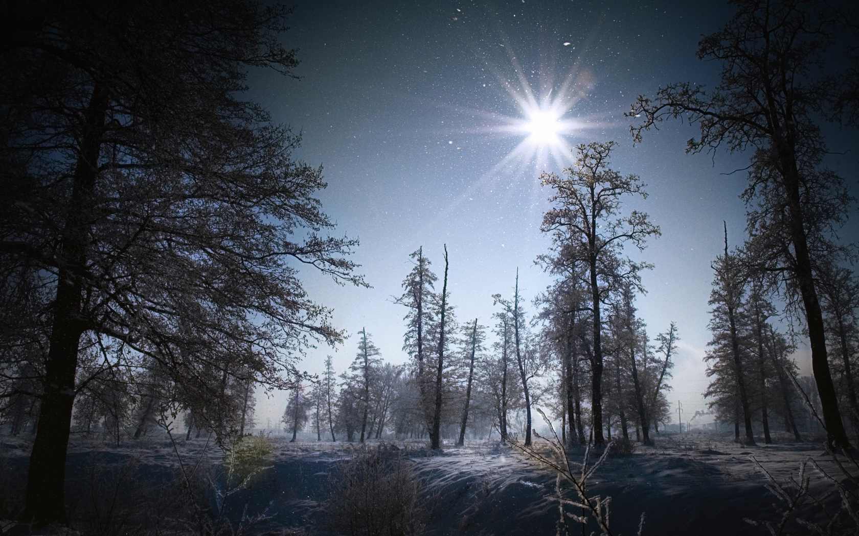 winter, trees, snow, night, star, , , , , , , , , , , , , , , , , , , , , , , , 