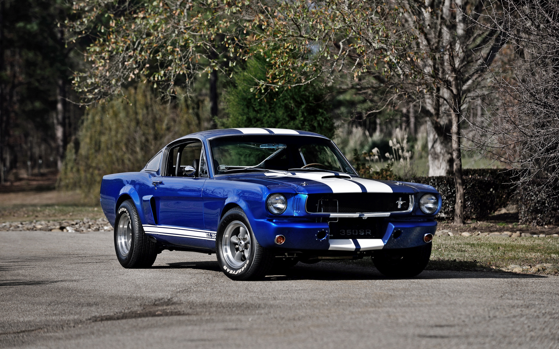 1966, shelby, ford, mustang, gt350r, , , , 