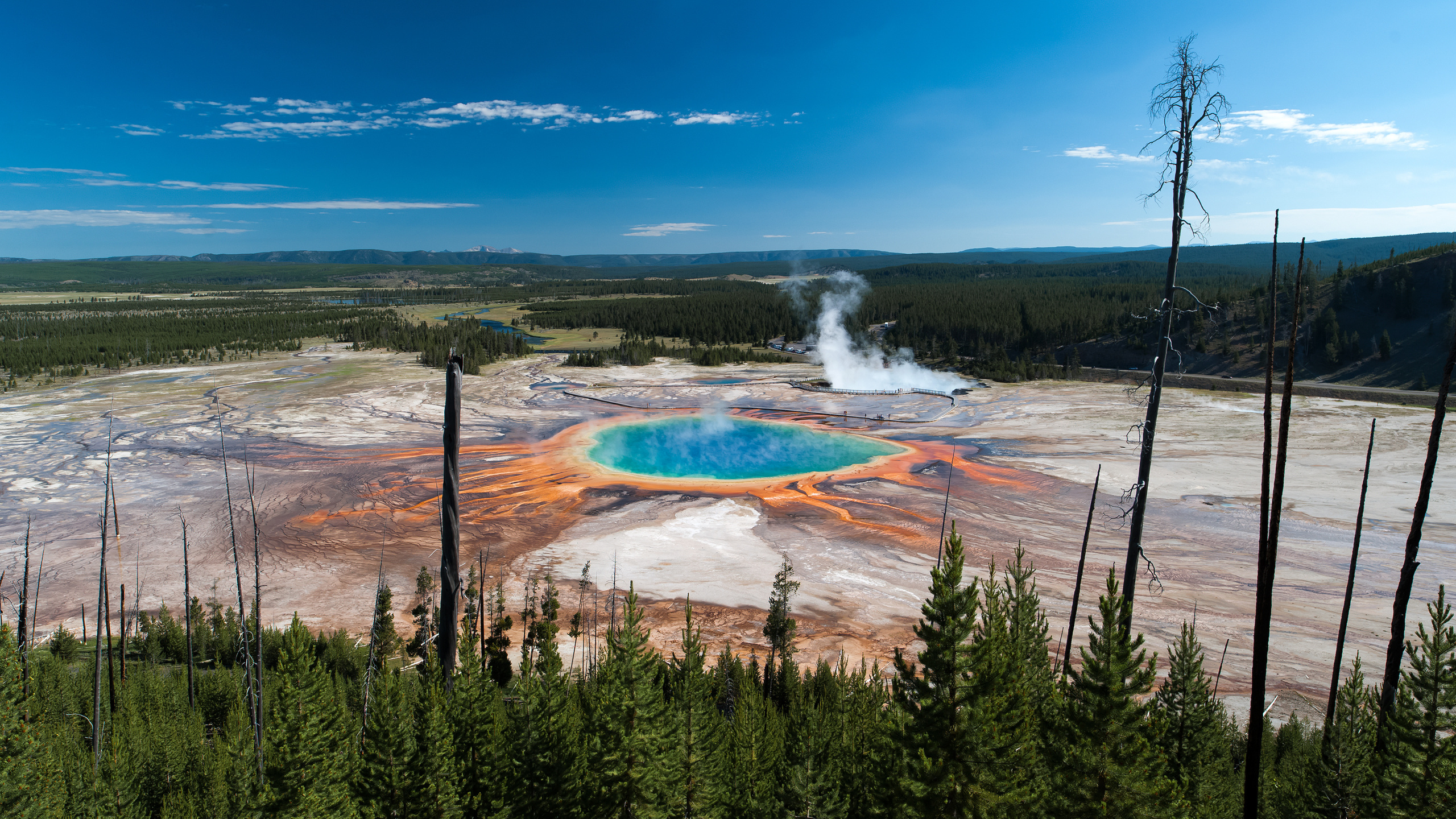 , , , , , park, trees, national, , grand, yellowstone, geyser