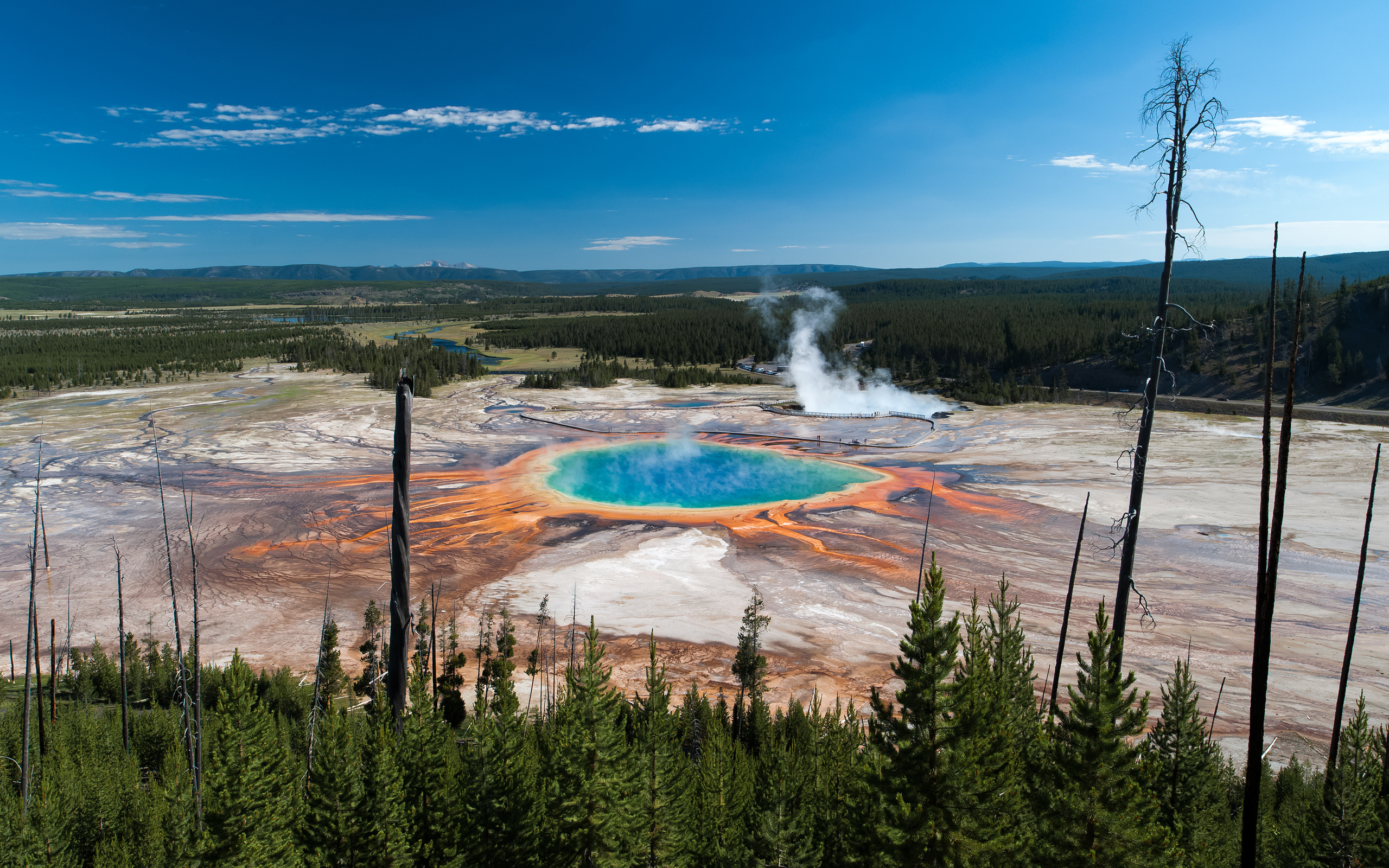 , , , , , park, trees, national, , grand, yellowstone, geyser