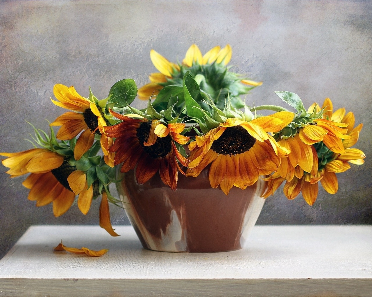 flowers, bouquet, still, life, flower, nature, sunflowers