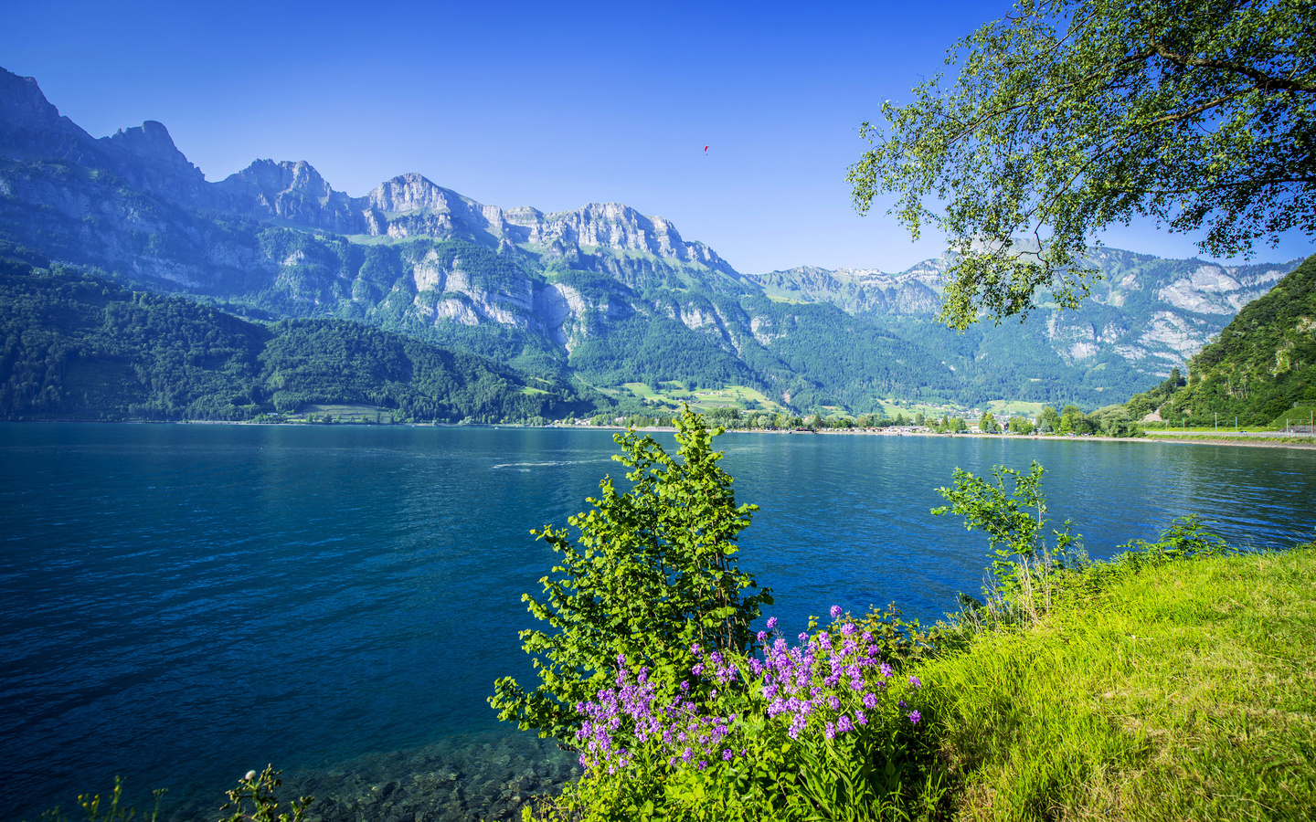 lake walen, walensee, switzerland, alps, , , , , 