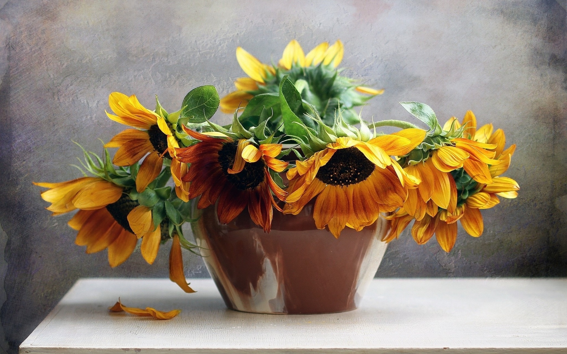 flowers, bouquet, still, life, flower, nature, sunflowers