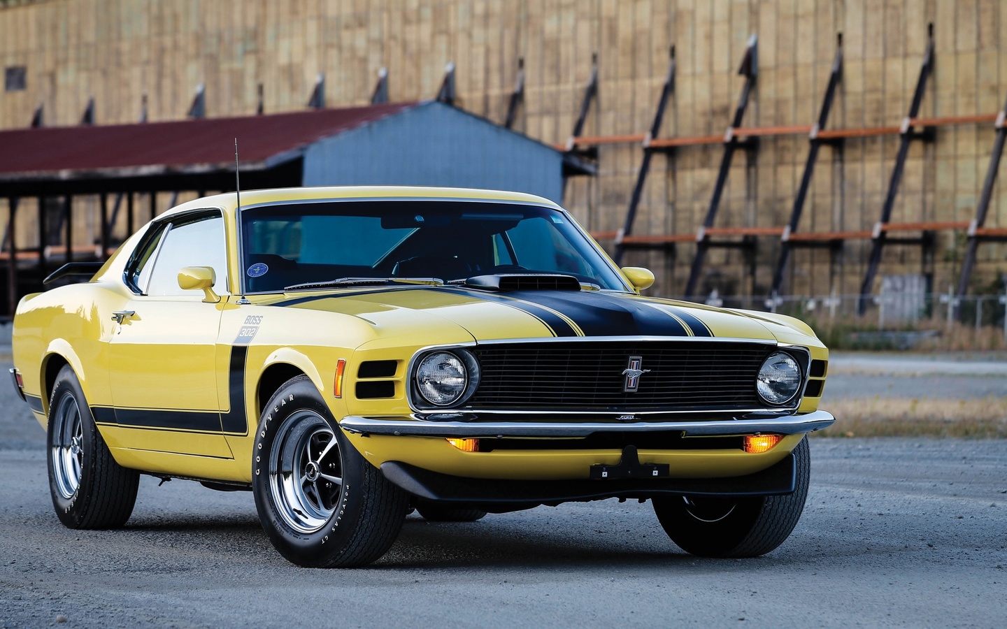 ford, mustang, boss, 1970, , 
