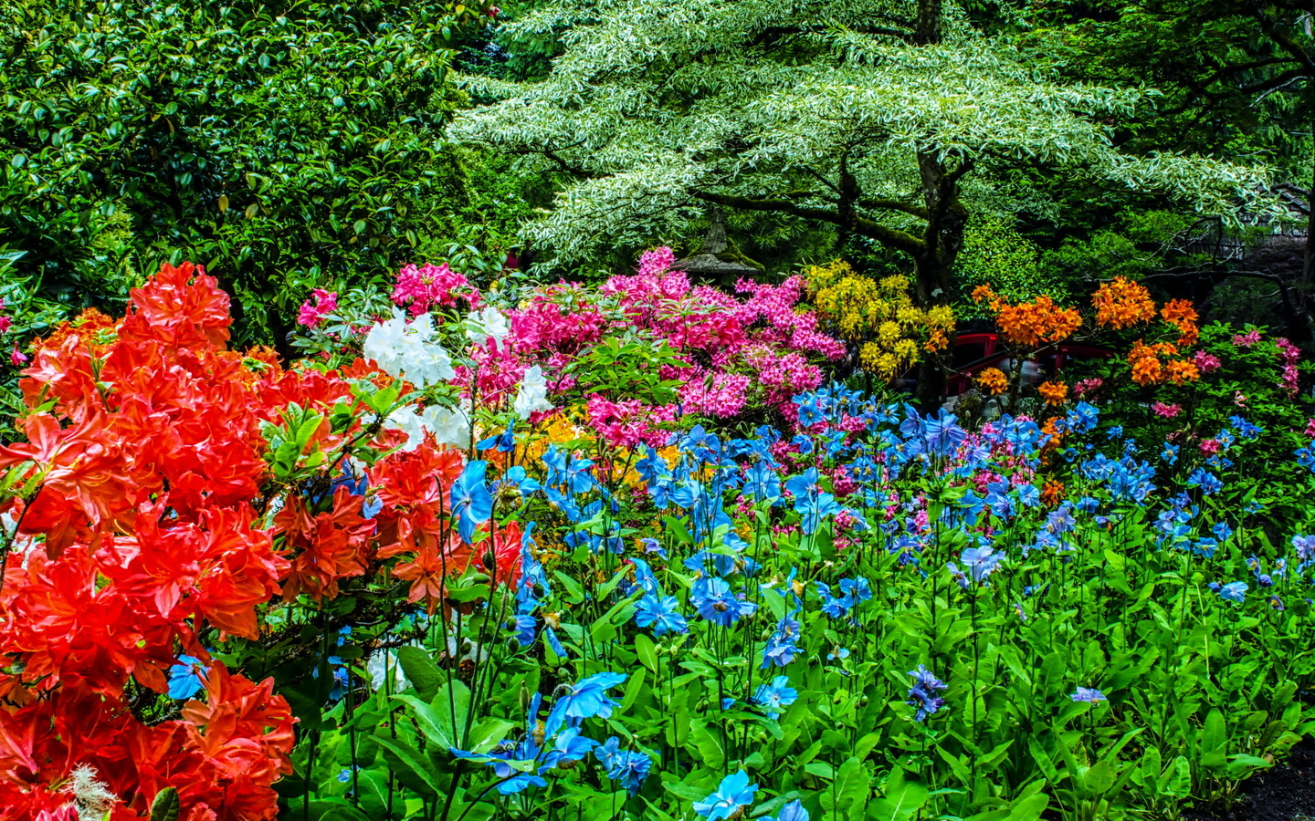 , , , butchart gardens, 