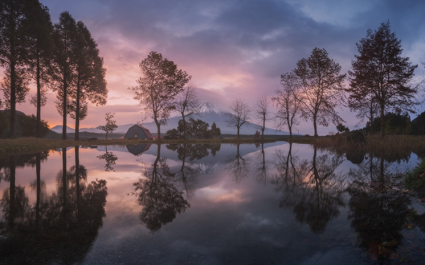 , , , , , fuji-san, ,  