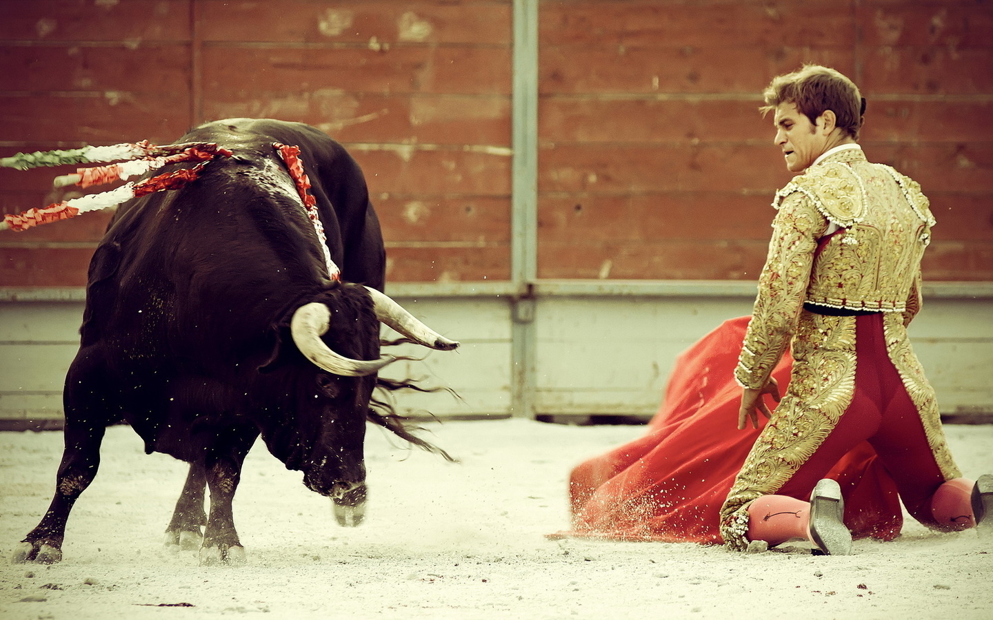 spain, toreador, bull,  , 