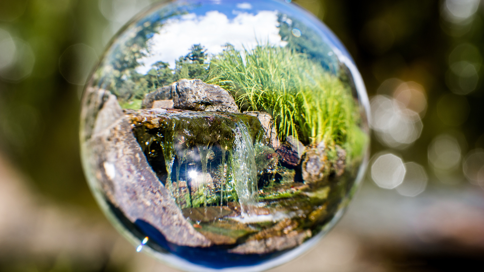 reflection, glass ball, oslo, botanical, garden, norway, 